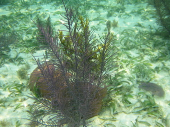 Enlarge photo 72