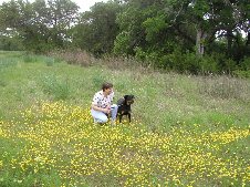 Bluebonnets 2002