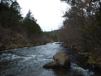Enlarge photo 81