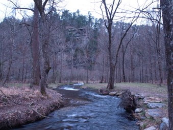 Enlarge photo 82