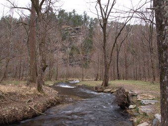 Enlarge photo 83