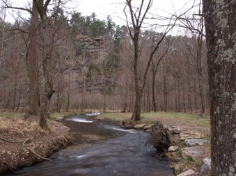 Enlarge photo 84