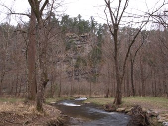Enlarge photo 85