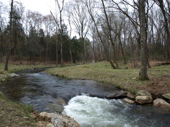 Enlarge photo 87