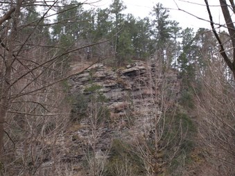 Enlarge photo 88