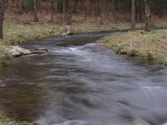 Enlarge photo 89