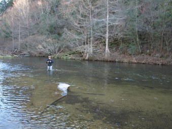 Enlarge photo 113