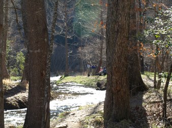 Enlarge photo 115