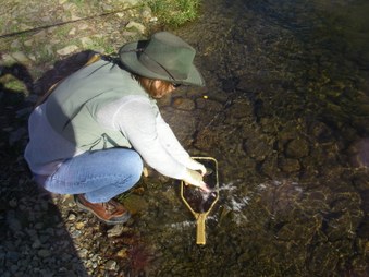 Enlarge photo 5