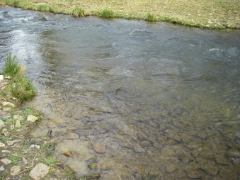 Enlarge photo 14