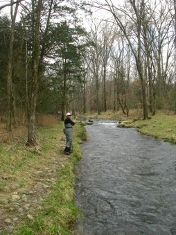 Enlarge photo 30