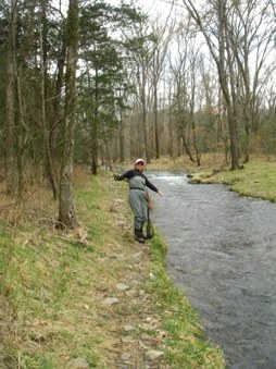 Enlarge photo 31