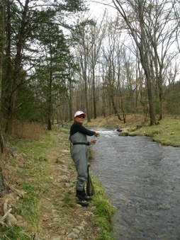 Enlarge photo 32