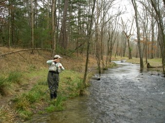 Enlarge photo 34