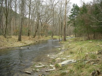 Enlarge photo 38