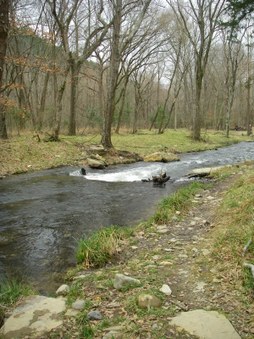 Enlarge photo 39