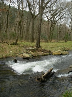 Enlarge photo 40