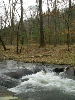 Enlarge photo 41
