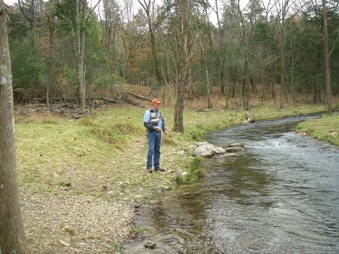 Enlarge photo 43