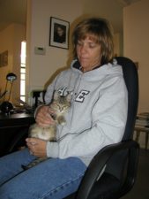 Dog and Cat Update