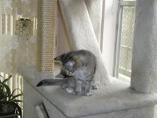 Enlarge photo 3