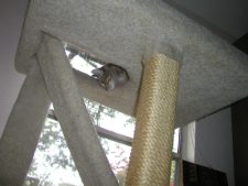 Enlarge photo 12