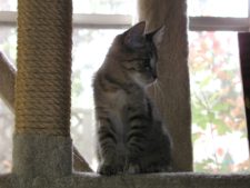 Enlarge photo 13