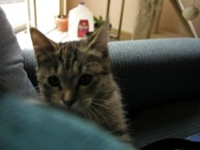 Enlarge photo 15