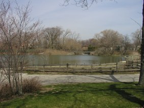 Enlarge photo 12