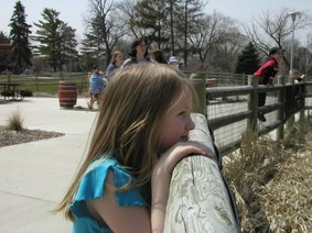 Enlarge photo 38