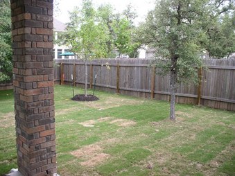 Enlarge photo 3