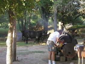 Enlarge photo 21