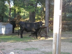 Enlarge photo 22