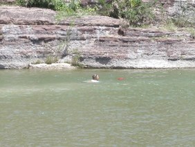 Enlarge photo 59