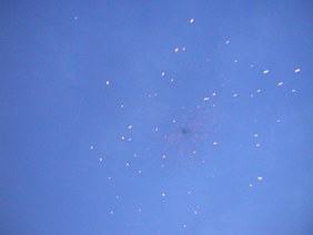 Enlarge photo 88
