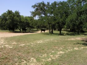 Homer Martin Ranch - May 2003