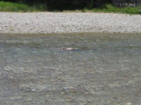 Enlarge photo 26