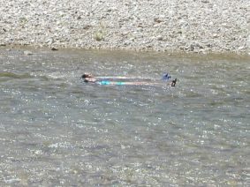 Enlarge photo 28