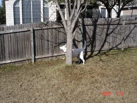 Enlarge photo 27