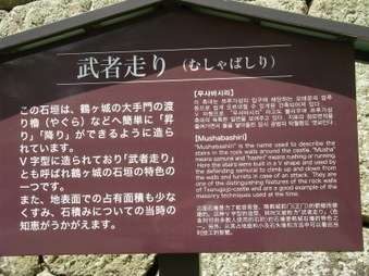 Enlarge photo 44