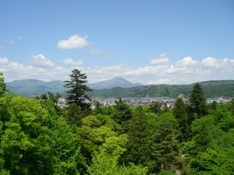 Enlarge photo 49