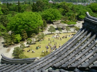 Enlarge photo 50