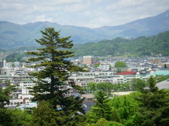 Enlarge photo 54