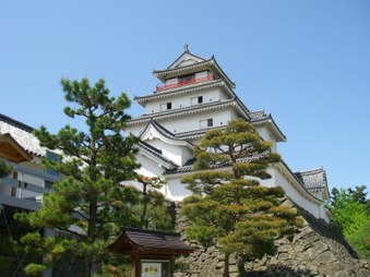 Enlarge photo 56