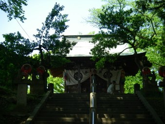 Enlarge photo 57