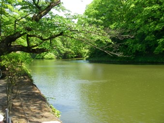 Enlarge photo 59
