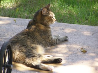 Enlarge photo 126