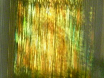 Enlarge photo 263