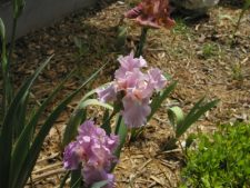 Enlarge photo 6