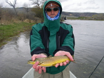 Montana - Day 3